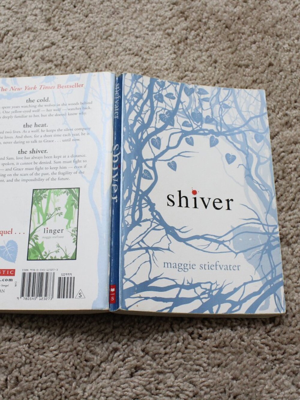 Shiver by Maggie Stiefvater ( 2010 Paperback Book # 1 ) Novel